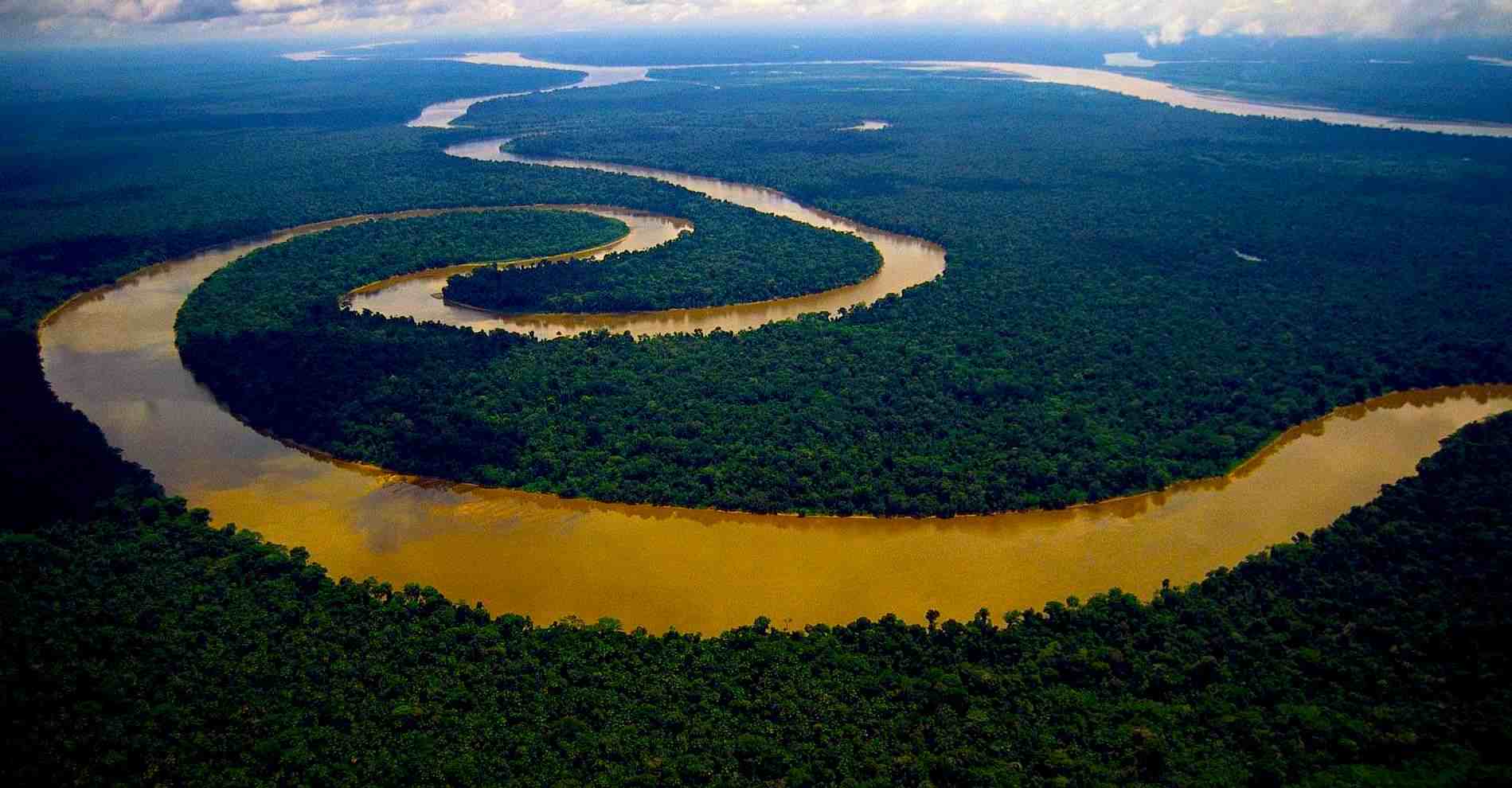 L'Amazonie : Un Écosystème Vital Face aux Défis du 21ème Siècle