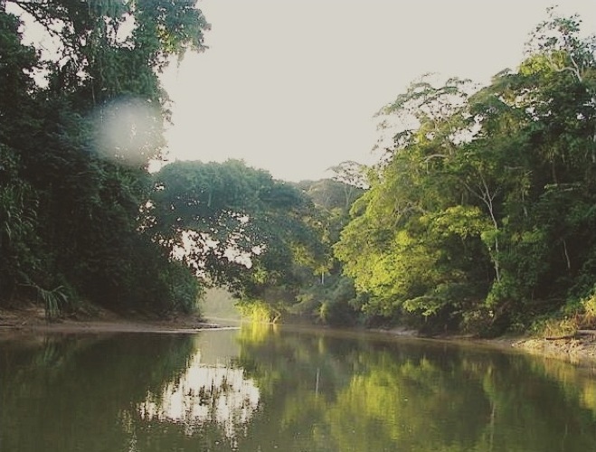 ParcManu-Jungle-Amazonie-Fleuve