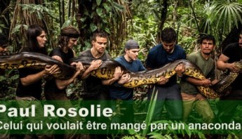 Paul-Rosolie-Anaconda