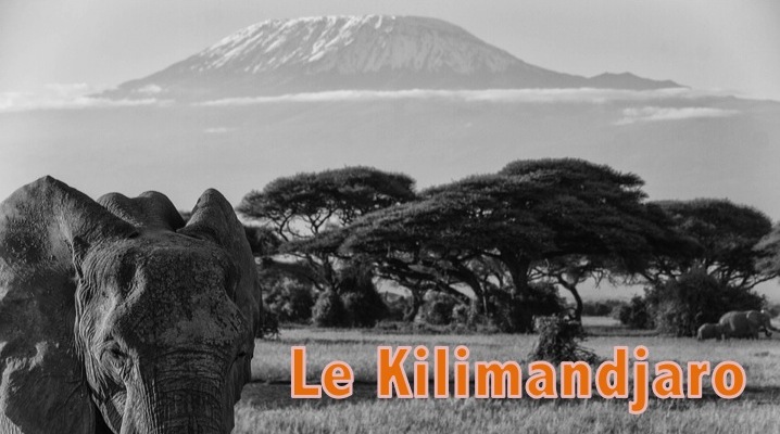 kilimandjaro-montagne